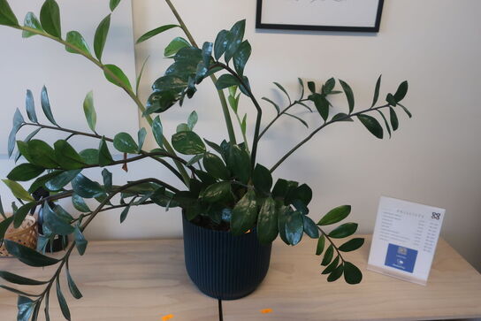 2 stk. reoler / plante / bøger m.m.