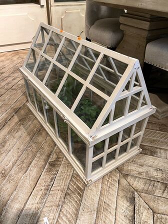 Montra m. Planter