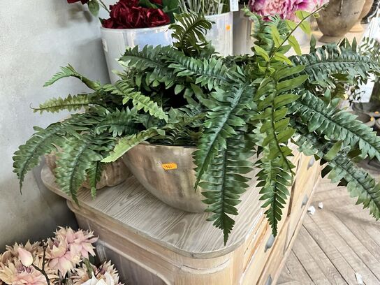 Vase m. Plante inkl. Græskar