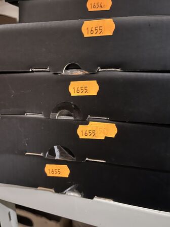 4 ks. Guldbestik i rustfri stål  GREENGATE