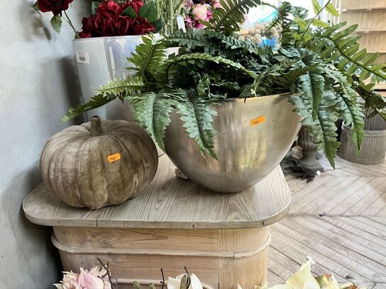 Vase m. Plante inkl. Græskar