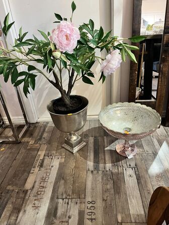 Vase m. Plante inkl. pokal  