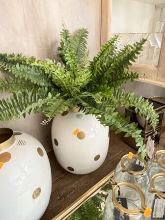 2 stk. Vaser COLMORE