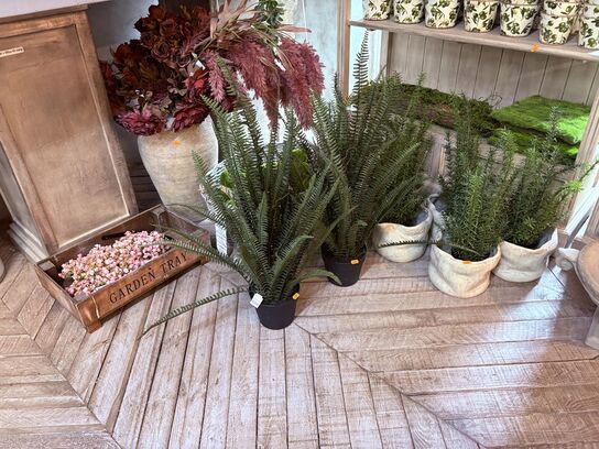 Div. Planter m. Potter