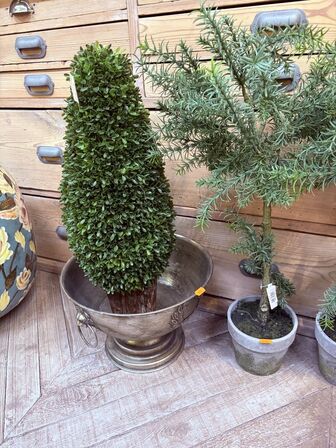 Vinkøler inkl. 5 stk. Planter