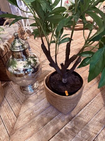 Div. Potter m. Blomster