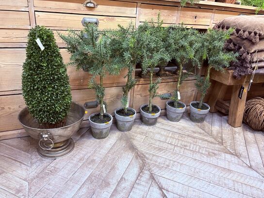 Vinkøler inkl. 5 stk. Planter