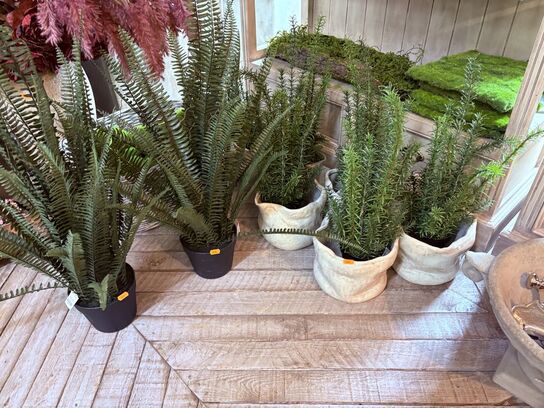 Div. Planter m. Potter