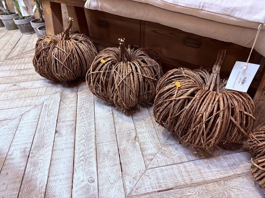 6 stk. Græskar i flet