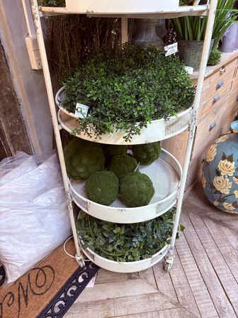 Reol på hjul m. 5 hylder inkl. Planter 192x55 cm