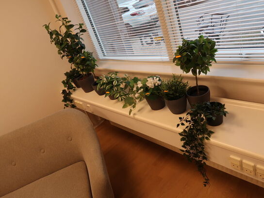 8 stk. Kunstige planter
