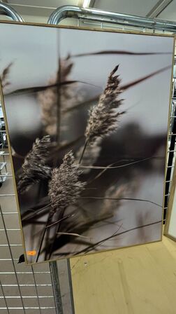 4 Billeder i trærammer