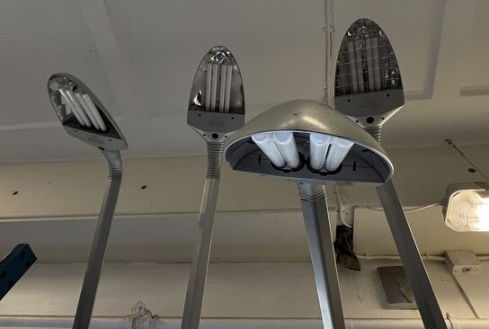 4 Stk. Bordlampe MANADE