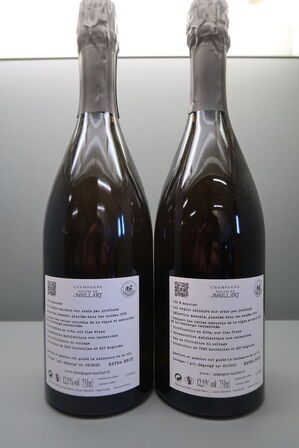 2 fl. Champagne Mont Martin Villers-Allerand 1er Cru Extra Brut, Nicolas Maillart 2019