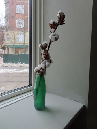 6 stk. Vindekantere inkl. Vaser