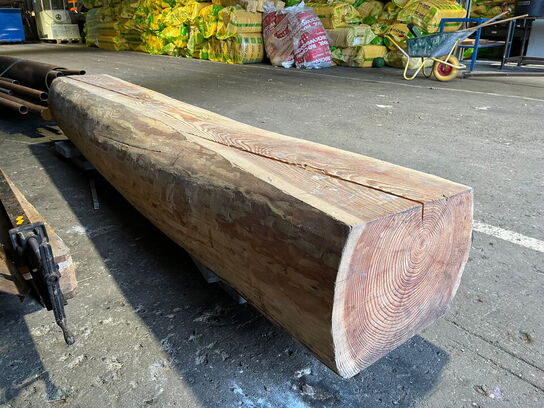 Naturbænk / træstamme