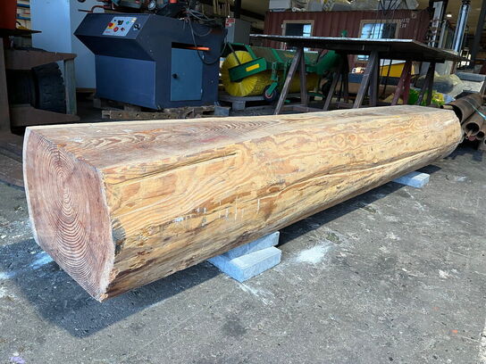 Naturbænk / træstamme