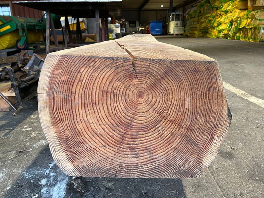 Naturbænk / træstamme