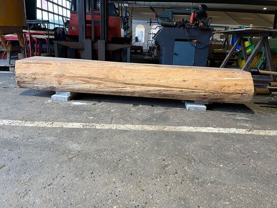 Naturbænk / træstamme