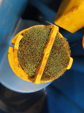 Gulvvasker IPC CT 51