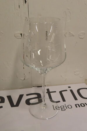 6 stk. Vinglas EVA TRIO  LEGIO NOVA