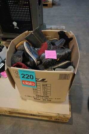 Diverse sko og støvler (MOMSFRI) 