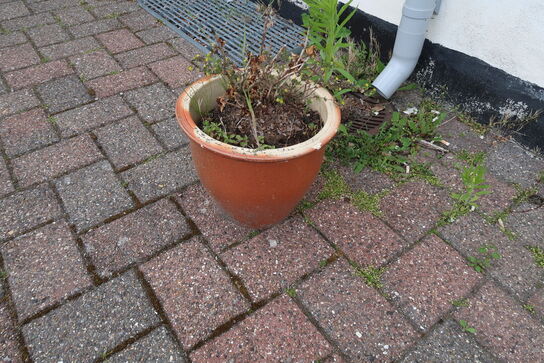5 stk. Blomsterkummer