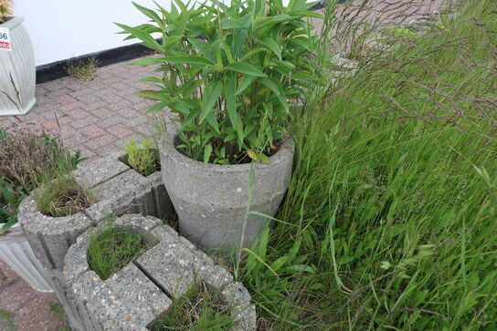 5 stk. Blomsterkummer