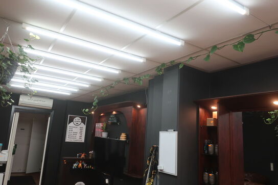 3 stk. planter samt 2 stk. pendler