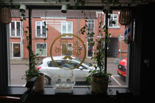 3 stk. planter samt 2 stk. pendler