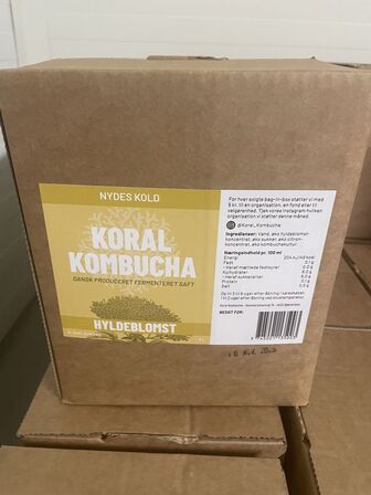 Parti Kombucha