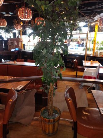 Kunstig plante
