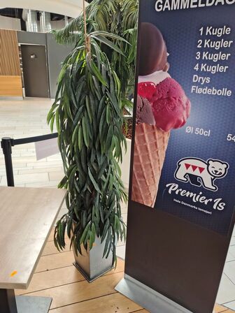 Kunstig plante 