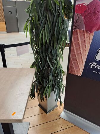 Kunstig plante 