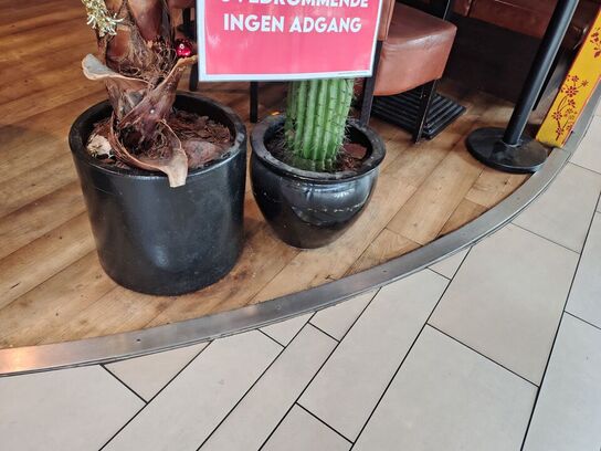 To store kunstige planter. 