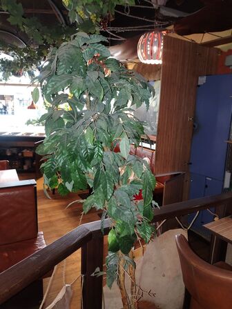 Kunstig plante