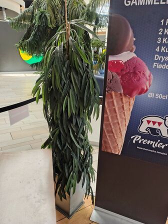 Kunstig plante 