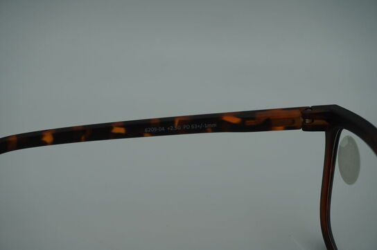 Briller PREGO 6209-04 + 2.50