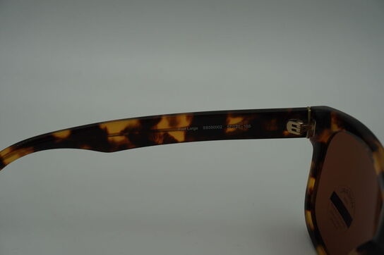 Solbriller SERENGETI Foyt Large SS550002 