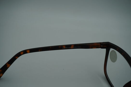 Briller PREGO 6209-05 +3.00