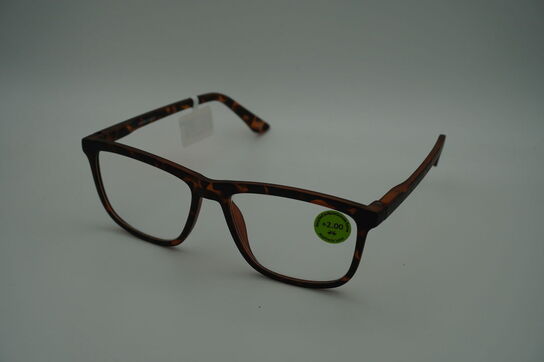 Briller PREGO 6209-03 +2.00