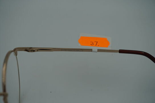 Briller PREGO 6203-01 +1.00