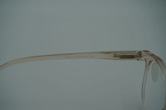 Briller PREGO 6201-04 +2.50