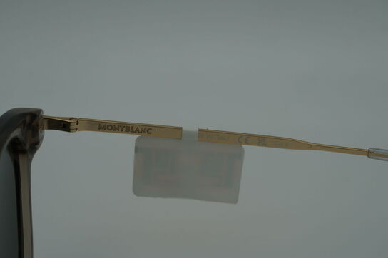 Solbriller MONT BLANC MB0304SA