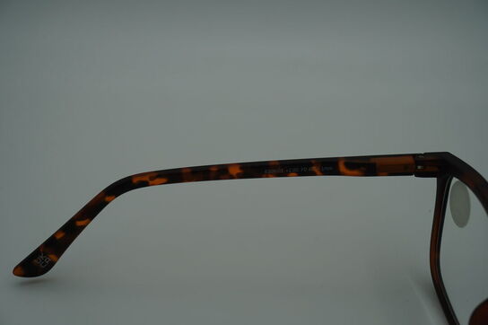 Briller PREGO 6209-03 +2.00