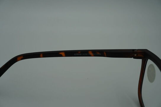 Briller PREGO 6209-04 +2.50