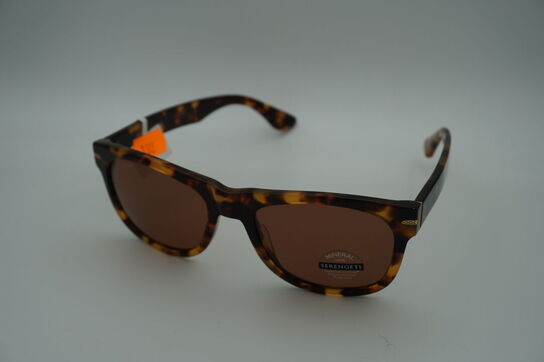 Solbriller SERENGETI Foyt Large SS550002 