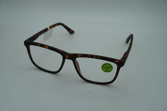 Briller PREGO 6209-05 +3.00