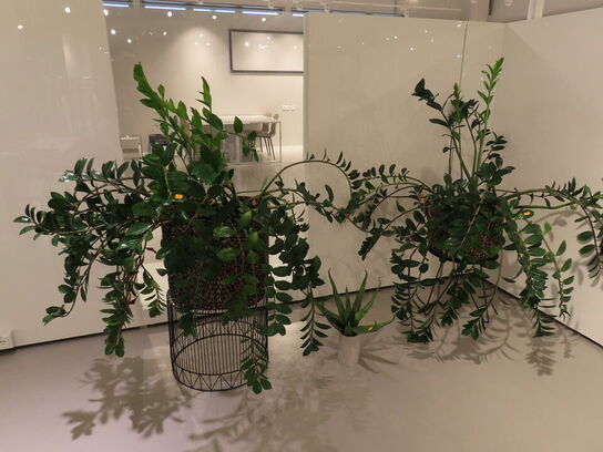 2 stk. planter på piedestal