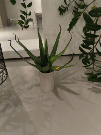 2 stk. planter på piedestal